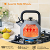 Moderner 3-Liter-Wasserkocher aus Edelstahl, neues Design, pfeifende Teekanne für Induktionsherd, Heimküche, Teekanne