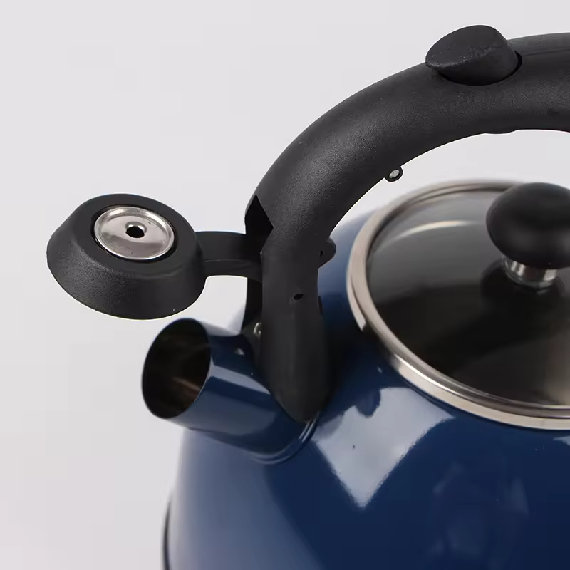 Pfeifender Teekessel aus Edelstahl mit Glasdeckel